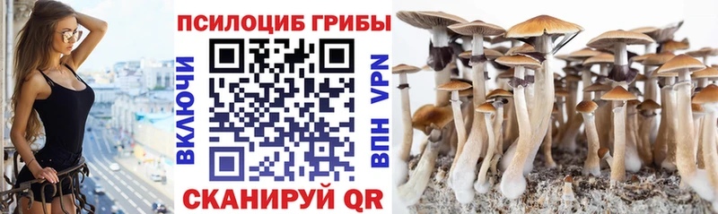 Галлюциногенные грибы Psilocybine cubensis  цены   Искитим 